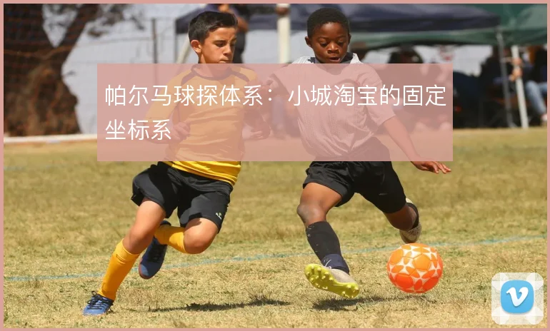 帕尔马球探体系:小城淘宝的固定坐标系