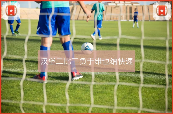 汉堡二比三负于维也纳快速